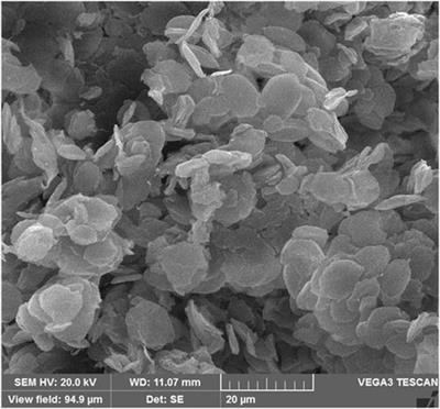 Ionic liquid containing high-density polyethylene supported tungstate: a novel, efficient, and highly recoverable catalyst